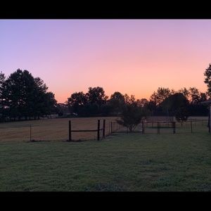 Meet your Posher, Vickie